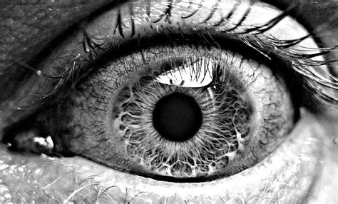 Amazing Black And White Photography With This Eye Can See