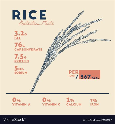 Health Benefits Of Rice Nutrition Facts Royalty Free Vector