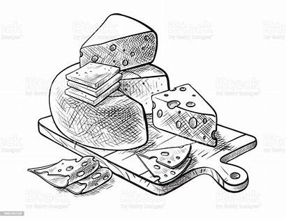 Cheese Fromage Making Sketches Formaggio Types Fabbricazione