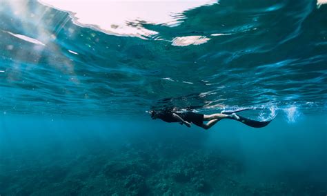 6 Of The Best Snorkelling Spots In Esperance Rac Wa
