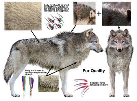 We would like to show you a description here but the site won't allow us. Shave and a Haircut: wolf