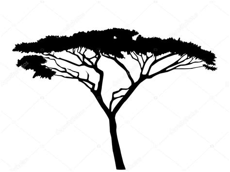 Acacia Tree Silhouette — Stock Vector © Colorvalley 79622692