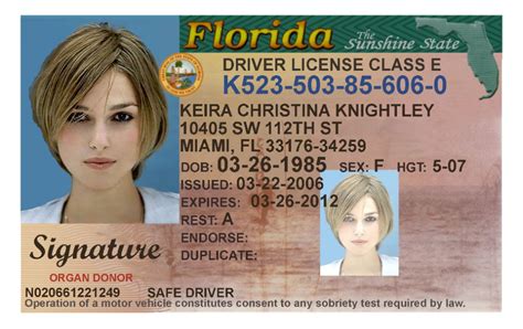 Florida Id Card Template Id Card Template Card Template Drivers License