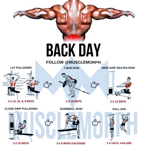 Pin By Marcus Shealy On Do You Even Lift Back Workout Bodybuilding