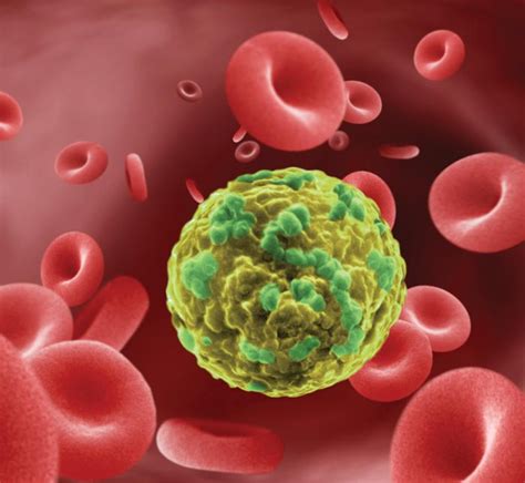 Normal lymph nodes are tiny and can be hard to find, but when there's infection, inflammation, or cancer, the nodes can get larger. New theory uncovers cancer's deep evolutionary roots ...