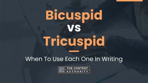 Bicuspid Vs Tricuspid When To Use Each One In Writing