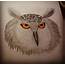 10  Owl Drawings Art Ideas Free & Premium Templates