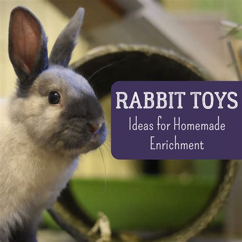 Bunny Diy How To Make Your Own Homemade Rabbit Toys Pethelpful Vlr