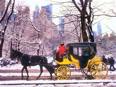 Full refund available up to 24 hours before your tour date Carriage Ride In Central Park - Scenic Snow