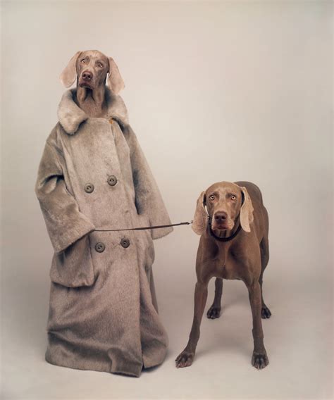 Wegman, the Weimaraner artist, brings cheer to kids at Georgetown