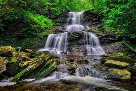Wallpaper Trees Waterfall Ricketts Glen State Park Free Pictures On