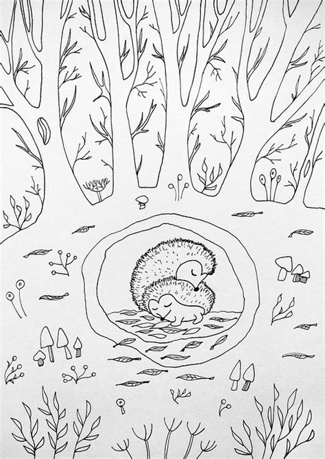 Winter Hibernation Hedgehogs Free Image On Pixabay