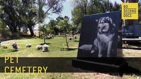 Pet Cemetery Los Angeles Pet Memorial Park 60 Second Docs Youtube