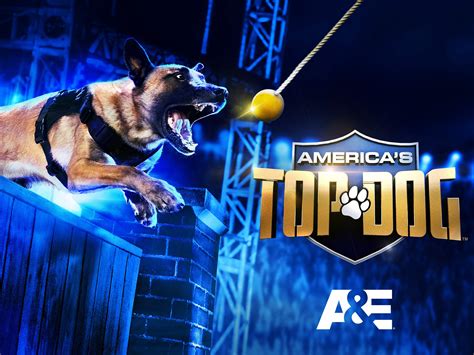 Watch Americas Top Dog Season 1 Prime Video