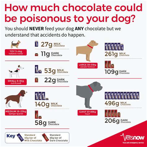 How Much Milk Chocolate Can A Dog Eat