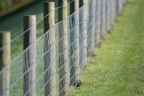 12 Different Types Of Wire Fencing Finding The Right Material For Your