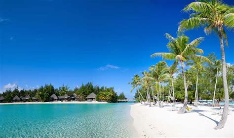 Island Trader Vacations Reviews The Grenadines