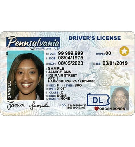 Pennsylvania Drivers License Novelty Enhanced