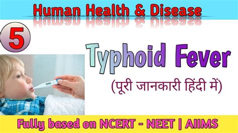 Typhoid Fever Human Health And Disease NEET YouTube