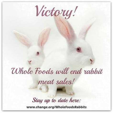 The Rabbits Won Whole Food Recipes Animal Lover Animals