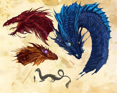 71 Best Images About Wyrm Wynd On Pinterest