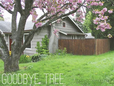 Goodbye Tree The Paper Mama
