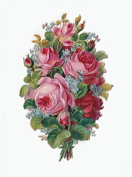 Bumble Button Victorian Rose Clip Art For Labels And Frames From