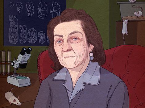 In 1974 she became the director of the medical research council mammalian development unit at ucl until her official retirement in 1992, when she she became principal research. Dame Anne McLaren's pioneering work in embryonic ...