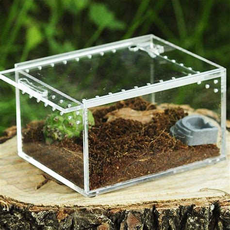 Clear Reptile Breeding Box Small Acrylic Terrarium Full View Visually With Sliding Design