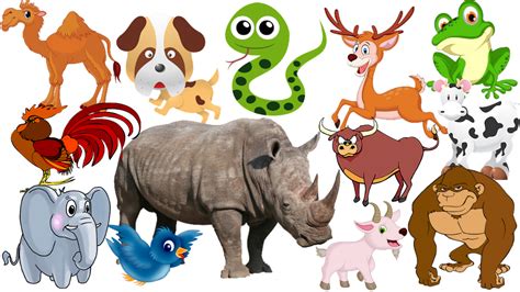 Learning Animals Sounds And Names For Children Kids And Babies Learn