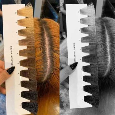 101 hair color chart guide with hair levels and tones explained