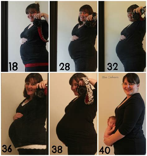 Plus Size Weeks Pregnant Belly Pregnantbelly