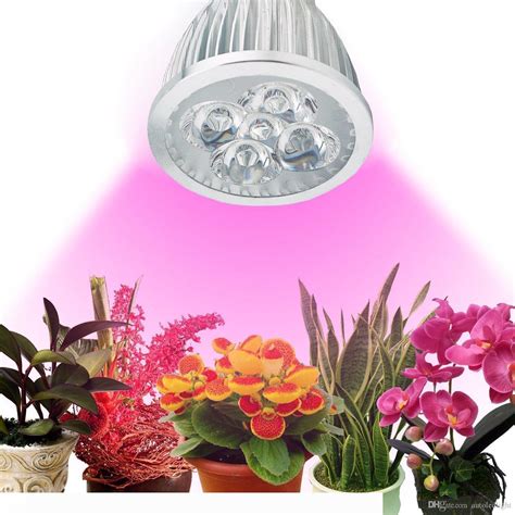 Led Plant Grow Light 5W E27 Grow Lamp Red Blue For Indoor Flower Plant