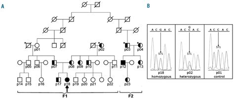 Patient education events · talk to a patient with pv The phenotype of polycythemia due to Croatian homozygous ...