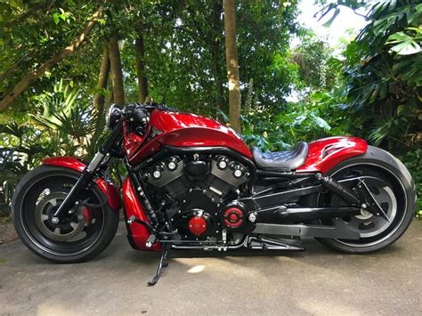 Valhalla V Rods — Bikes In 2020 Harley Davidson V Rod Harley Bikes