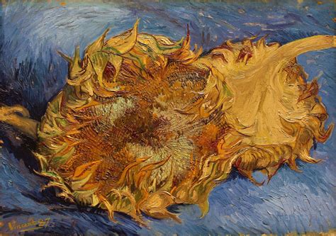 In january 2019, the van gogh museum in amsterdam announced that the painting sunflowers will not be leaving amsterdam anymore due to its fragile condition. File:Vincent van Gogh - Sunflowers (Metropolitan Museum of ...