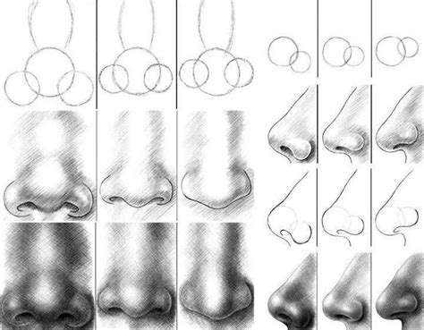 Easiest Explanation On How To Draw A Nose Pencil Art Drawings