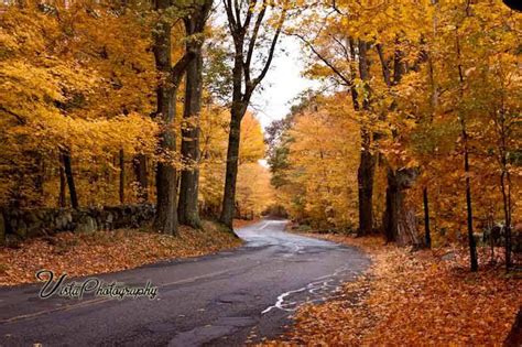 Autumn In Salem Ma Maine Fall Foliage Peak Peak Fall Foliage On Back Road New England Fall