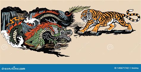 Green Chinese Dragon Versus Tiger Stock Vector Illustration Of Tiger