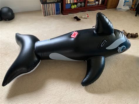 6 8 Week Waiting Period Inflatable Whale With Built In Etsy Canada