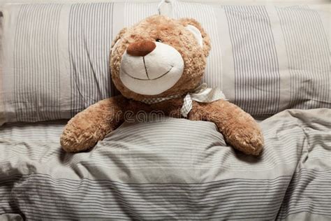 717 Teddy Bear Laying Bed Stock Photos Free And Royalty Free Stock