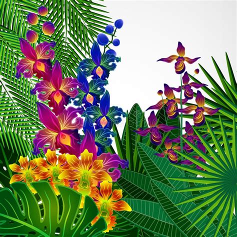 Tropical Flowers And Leaves Floral Design Background Stock Vector