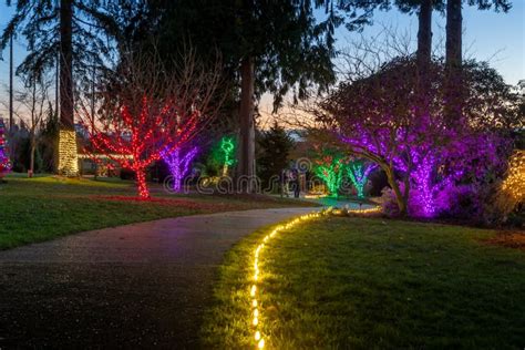 Evergreen Evergreen Arboretum And Gardens Wintertide Lights 2020