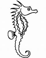 Seahorse Coloring Sea Horse Coloring2print sketch template