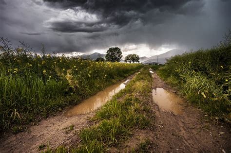 What If It Rains 5 Great Rainy Day Photography Tips Contrastly