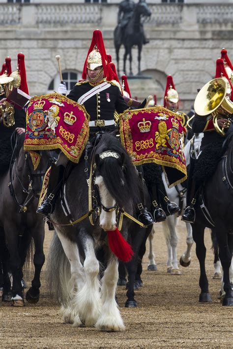 Household Cavalry Mounted Regiment Major Generals Review Horse