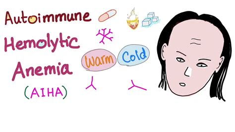 Autoimmune Hemolytic Anemia Warm Autoantibodies Youtube