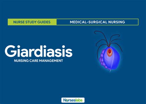 Giardiasis Nursing Care Management Study Guide Nurseslabs