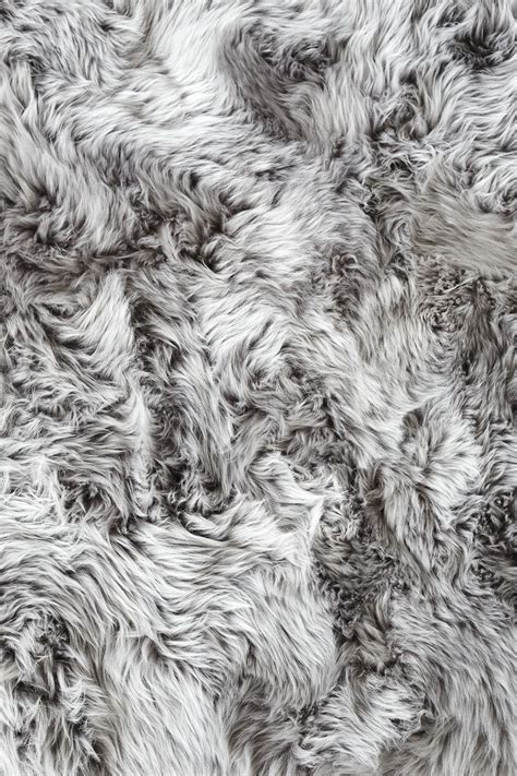 Fur Wallpapers Top Những Hình Ảnh Đẹp