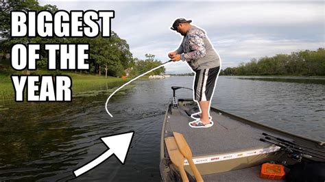Best Frog Fishing Of The Year In Thick Pads Youtube